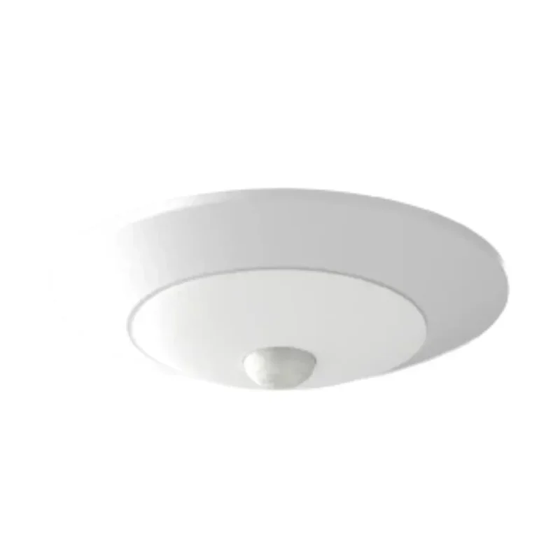 beeslighting22620062