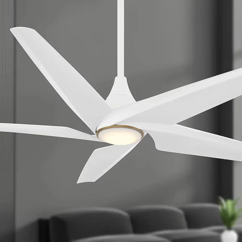 beeslighting22620569