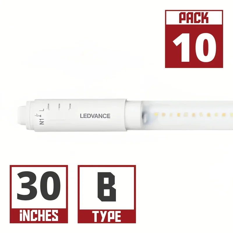beeslighting22620928