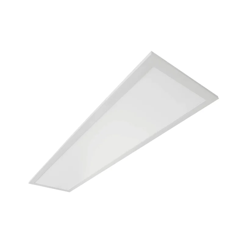 beeslighting22621446
