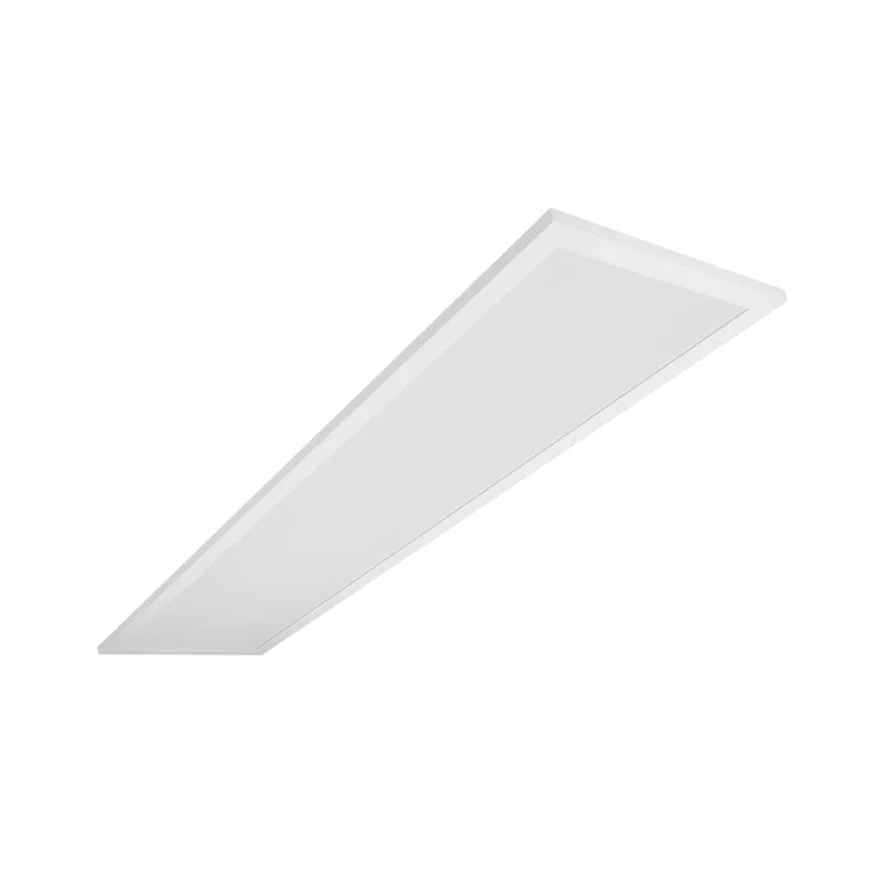 beeslighting22621449