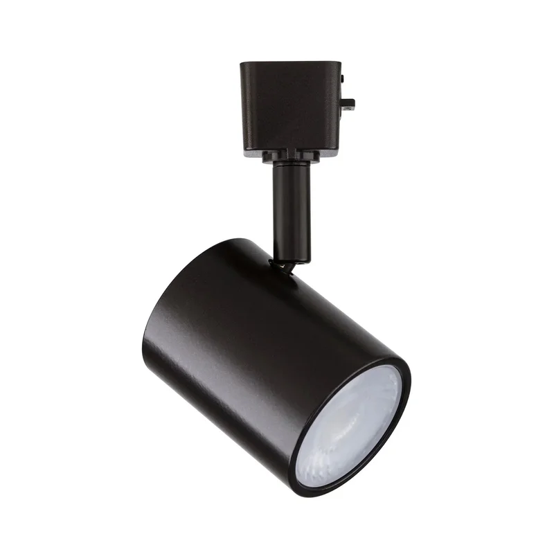 beeslighting22621565
