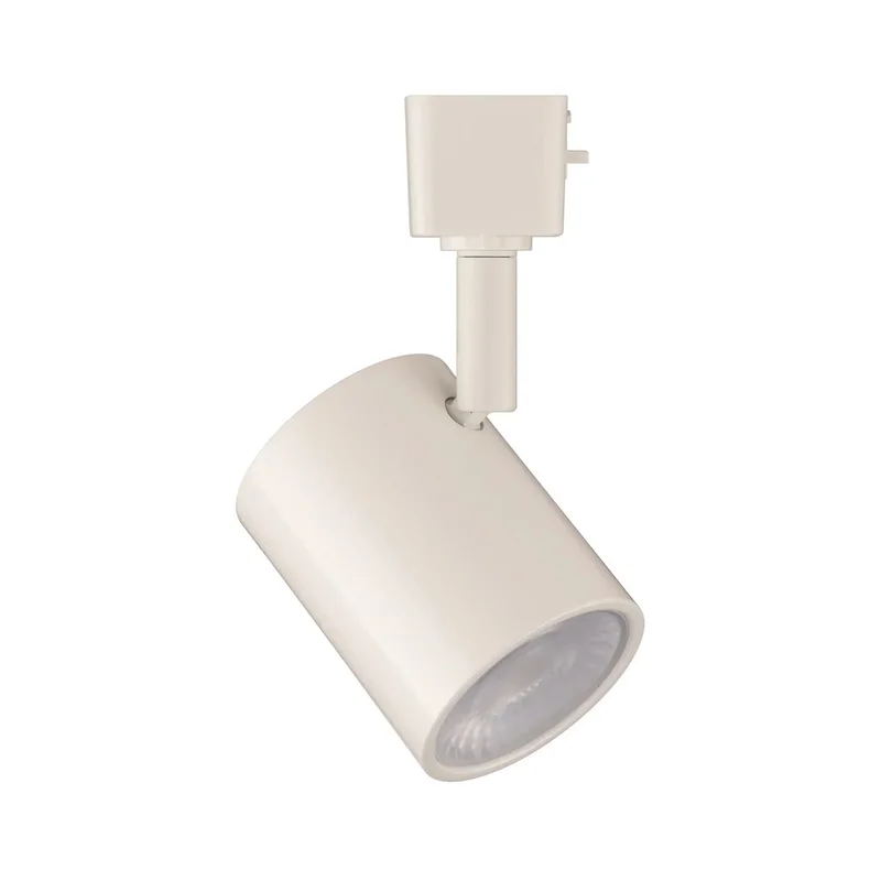 beeslighting22621594