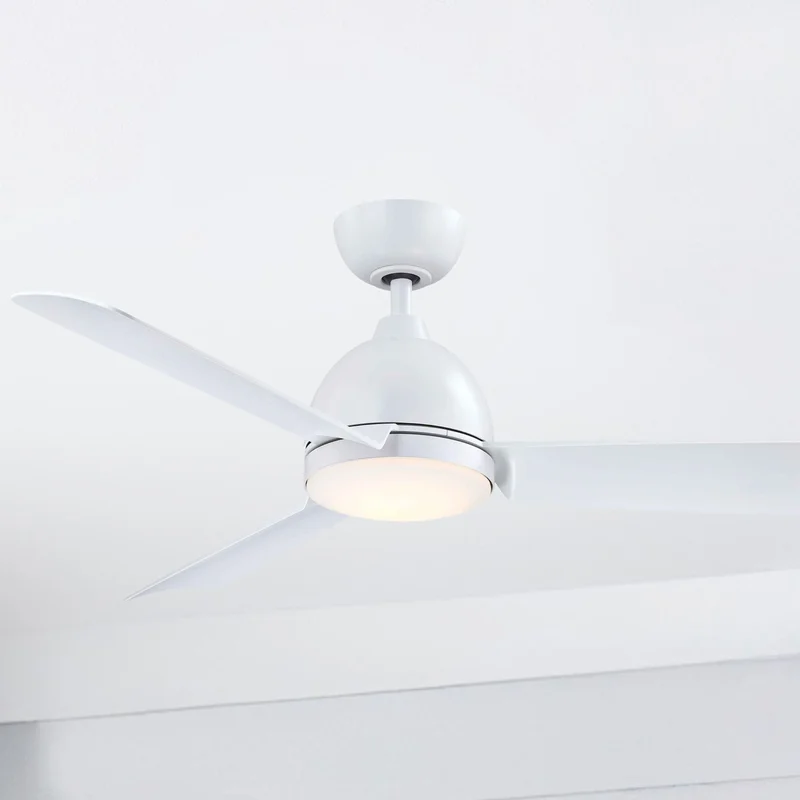 beeslighting22621758