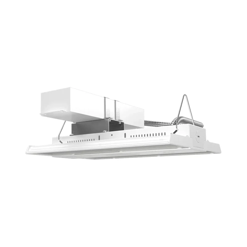 beeslighting22626300