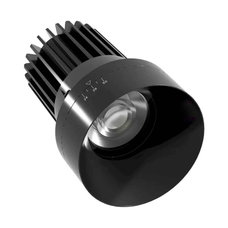 beeslighting22643780