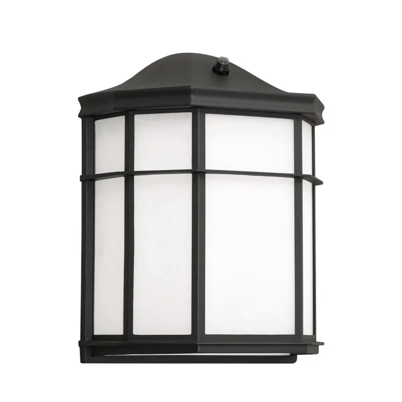 beeslighting22645369