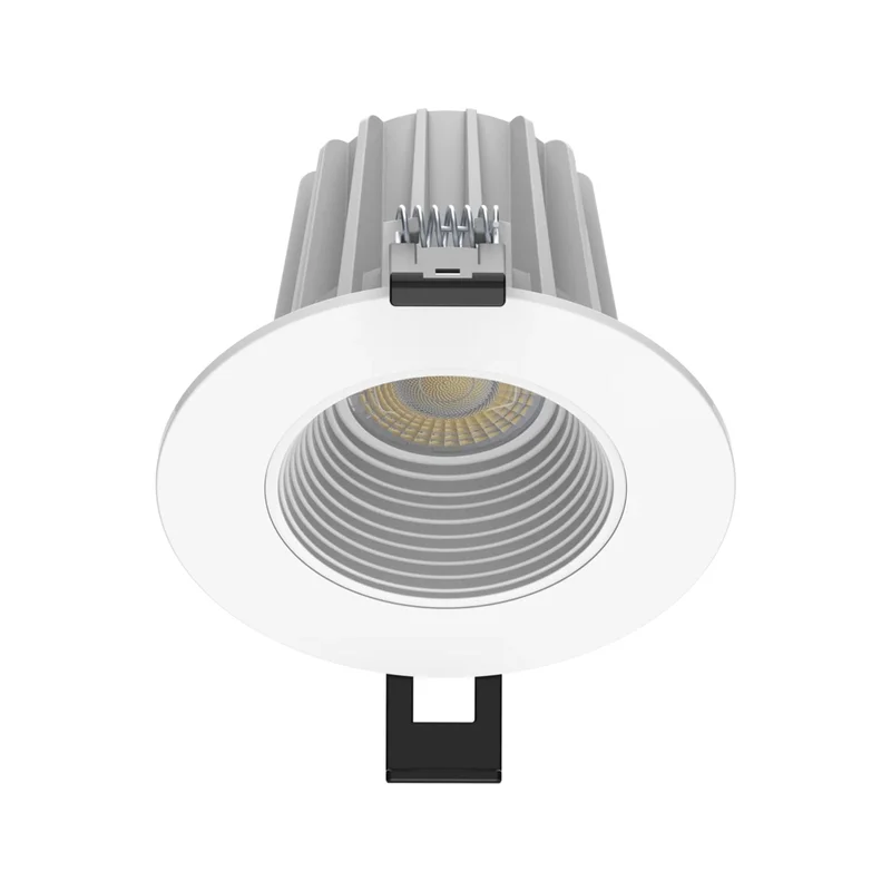 beeslighting22645388