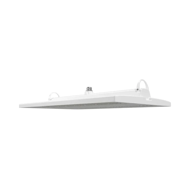 beeslighting22646009