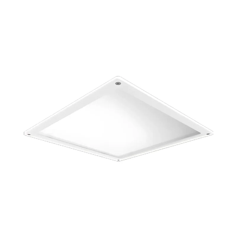 beeslighting22646678