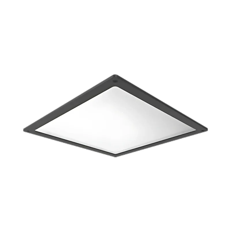 beeslighting22646684