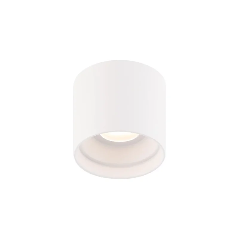 beeslighting22646801