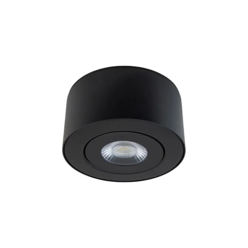 beeslighting22649258