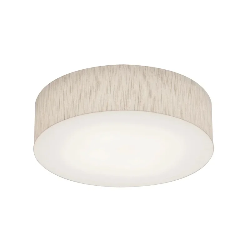 beeslighting22655074