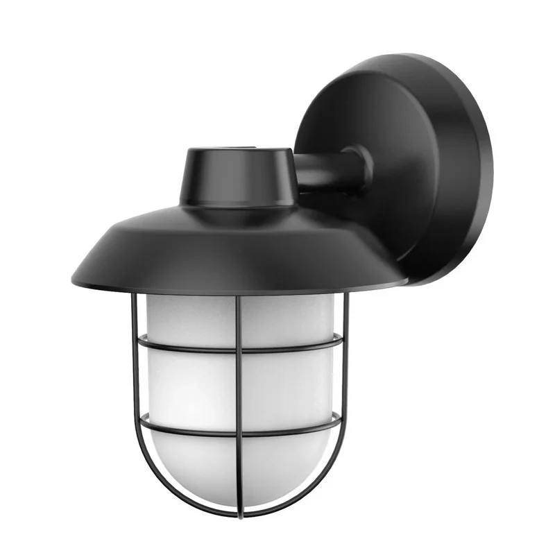 beeslighting22657854