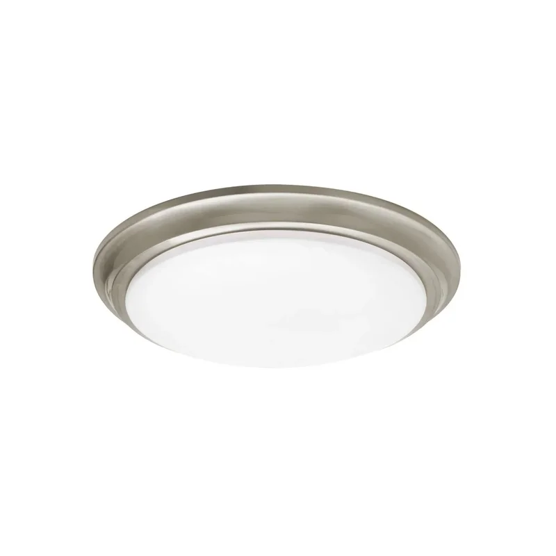 beeslighting22658406