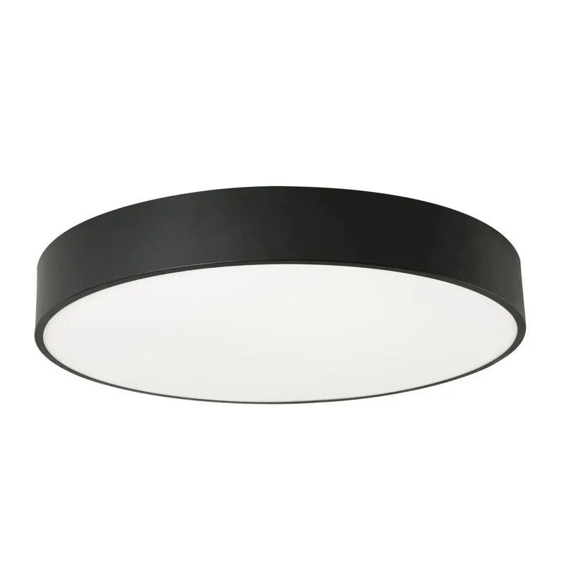 beeslighting22658582