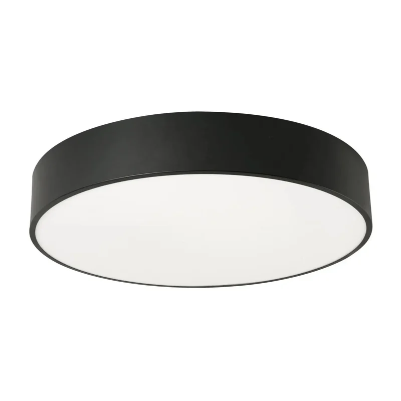 beeslighting22659472