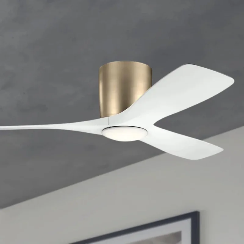 beeslighting22664484