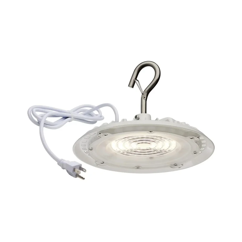 beeslighting22664815