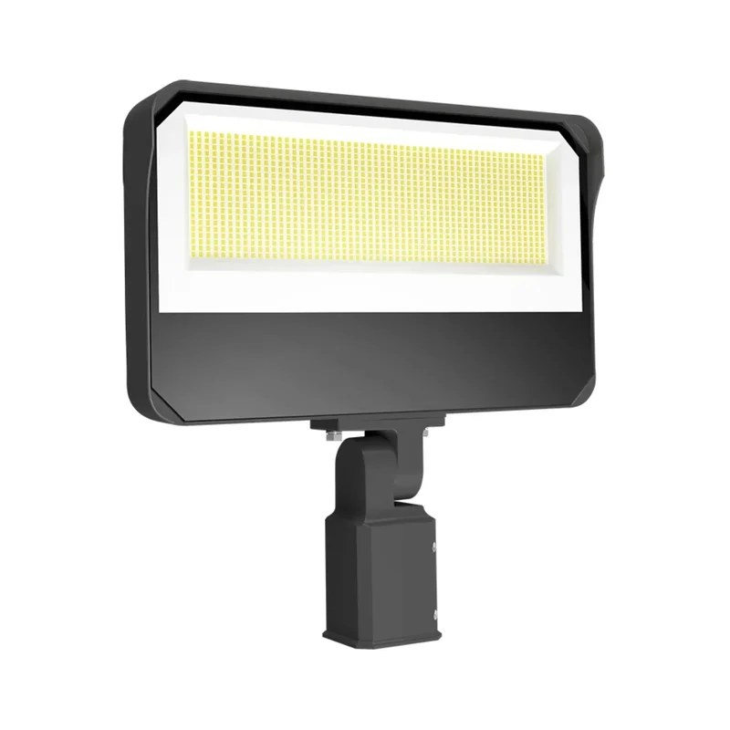 beeslighting22666570