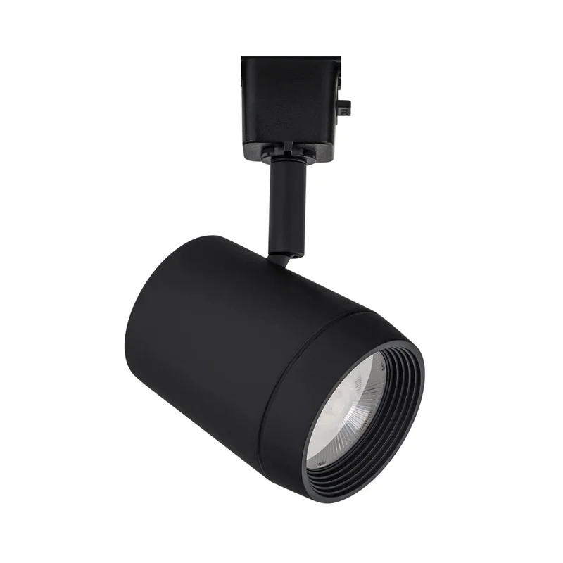 beeslighting22666597