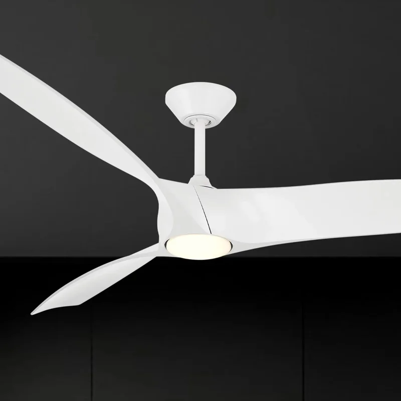beeslighting22666851