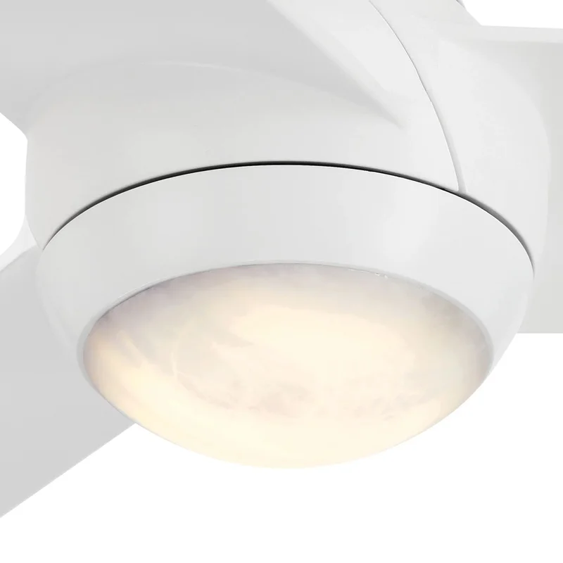beeslighting22666855