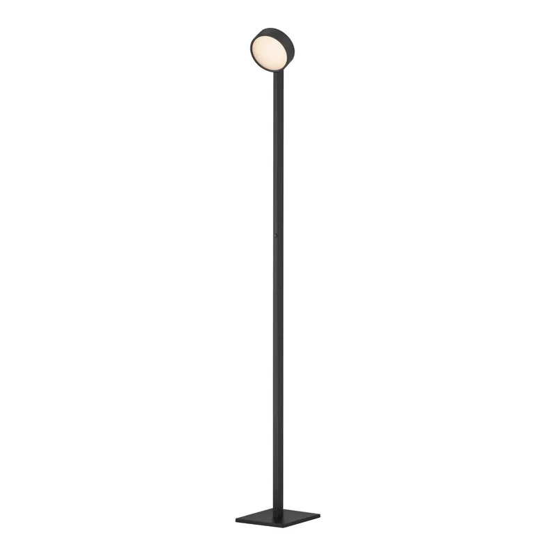 beeslighting32504718