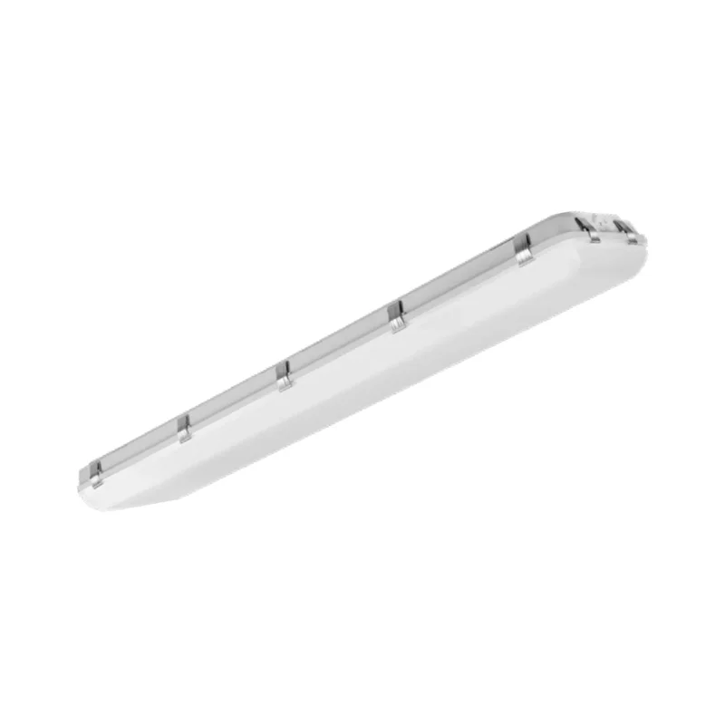 beeslighting32510839