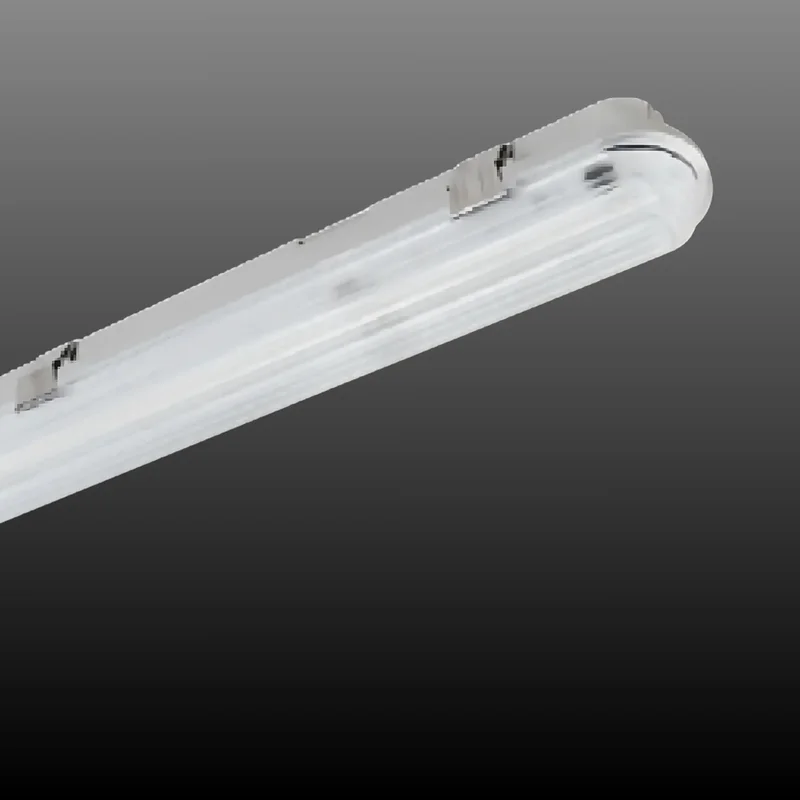 beeslighting32511194