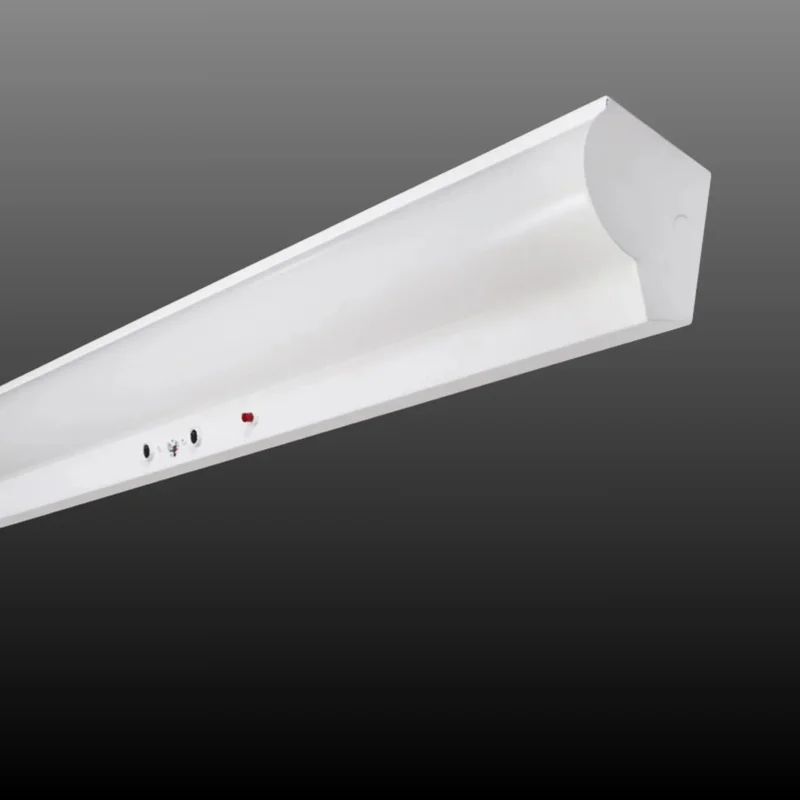 beeslighting32511434