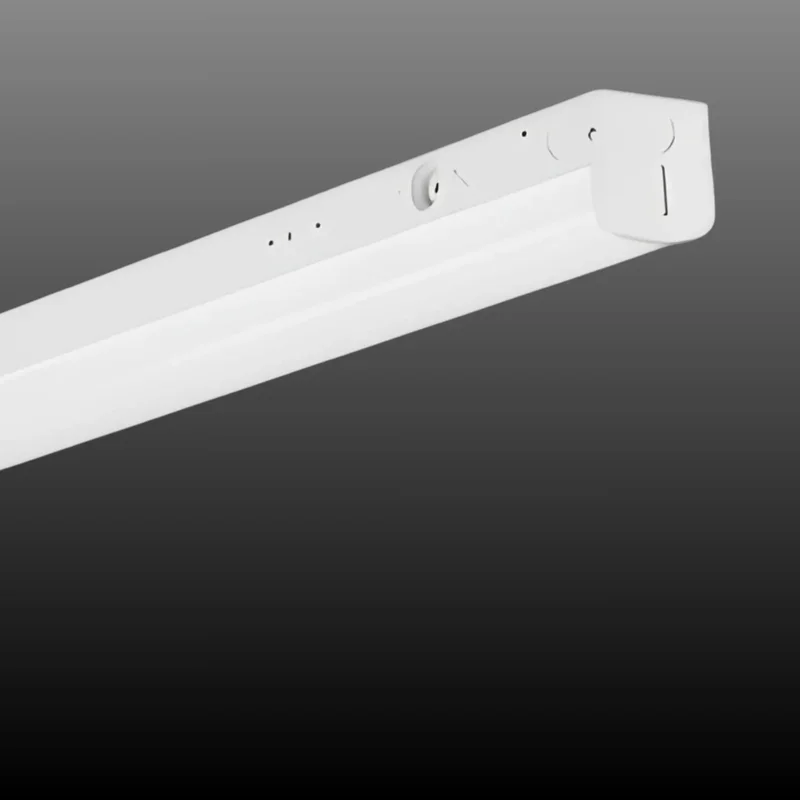 beeslighting32511487
