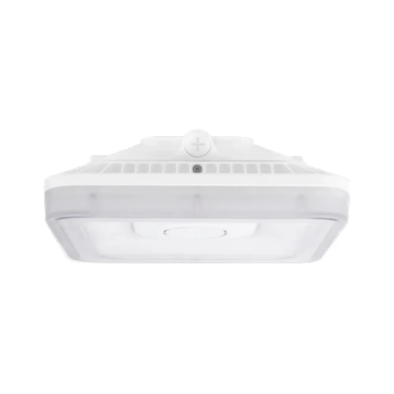 beeslighting32512203