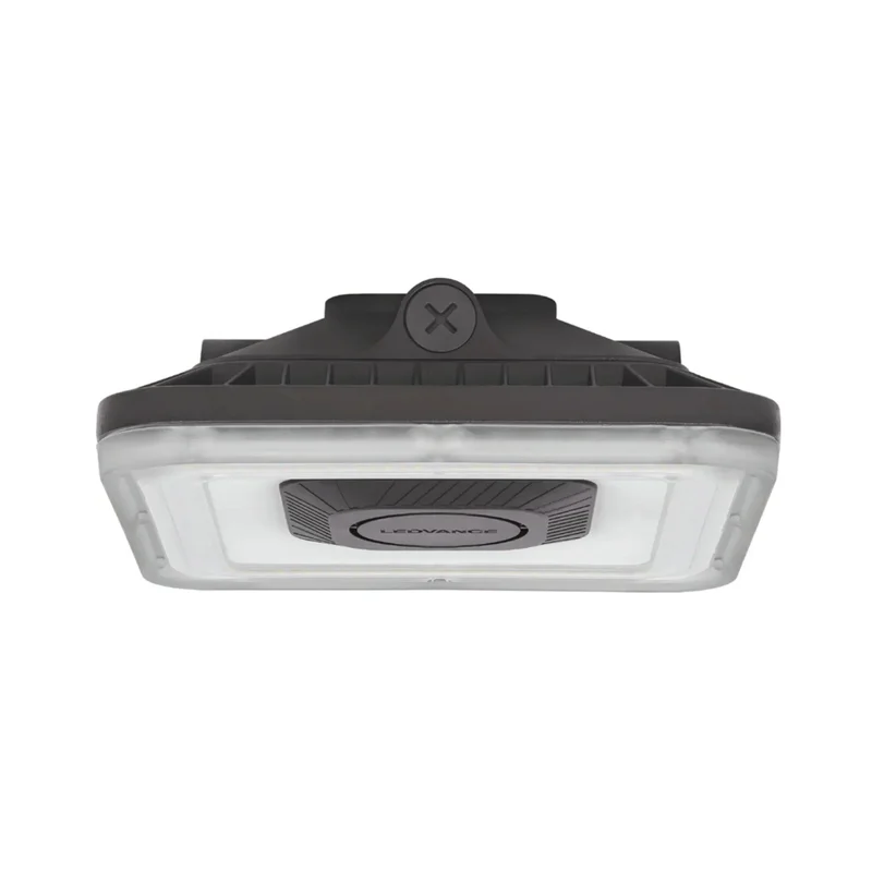 beeslighting32512262