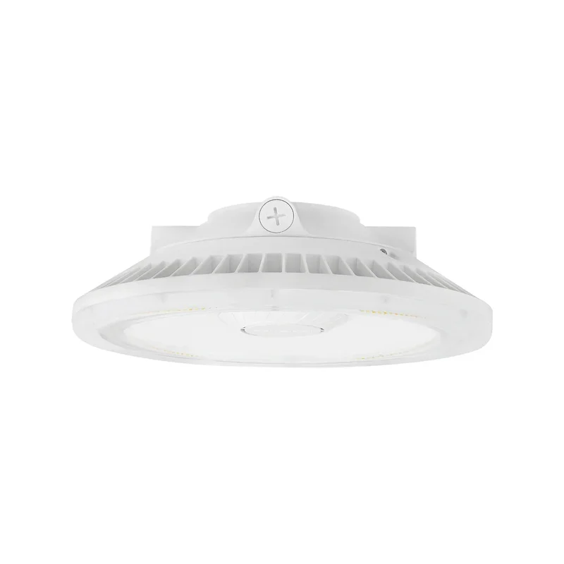 beeslighting32512447