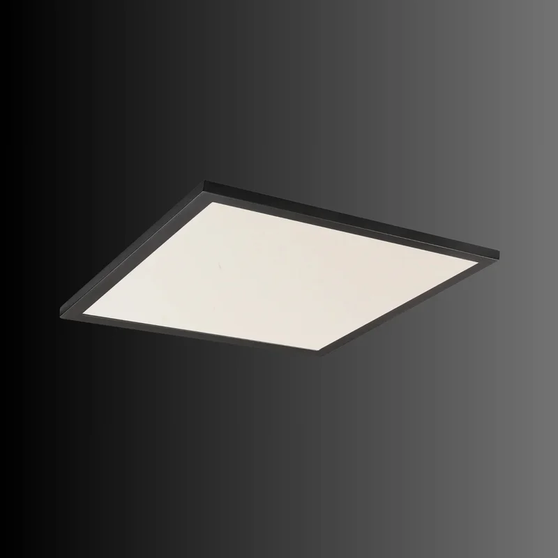 beeslighting32563839