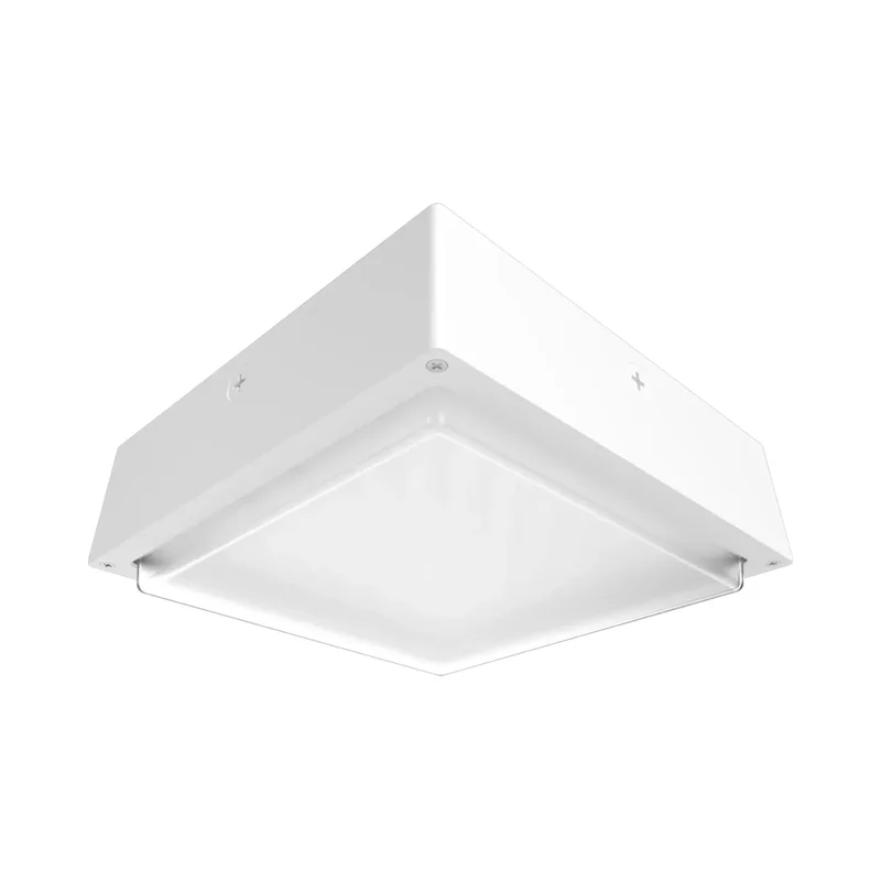 beeslighting32577854
