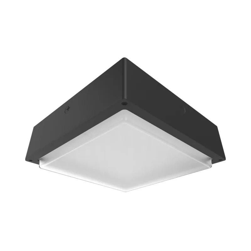 beeslighting32578018