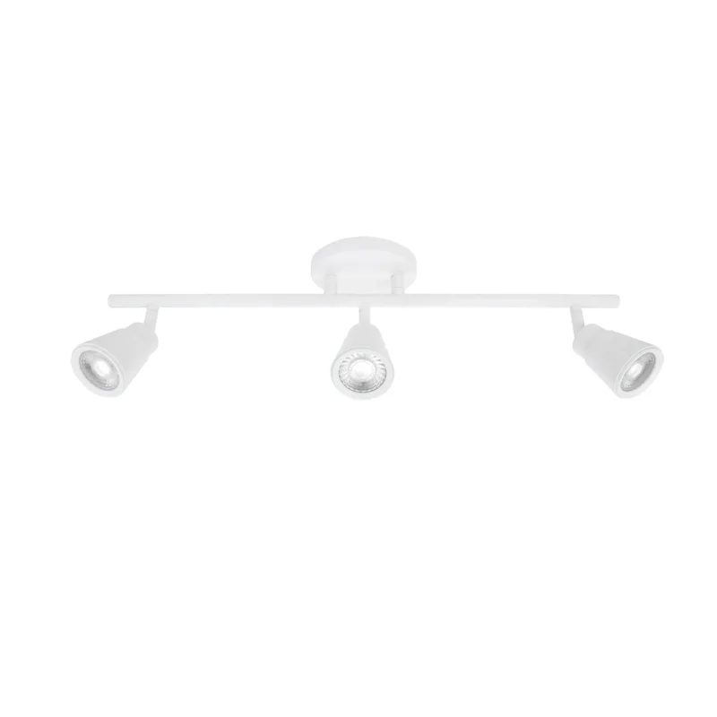 beeslighting32622645