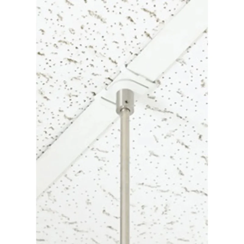 beeslighting32624843