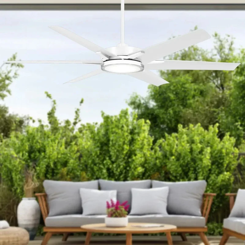 beeslighting32626959