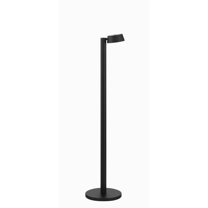 beeslighting32627434
