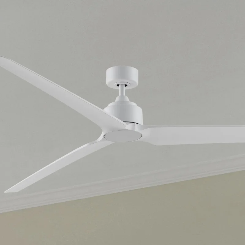 beeslighting32638839
