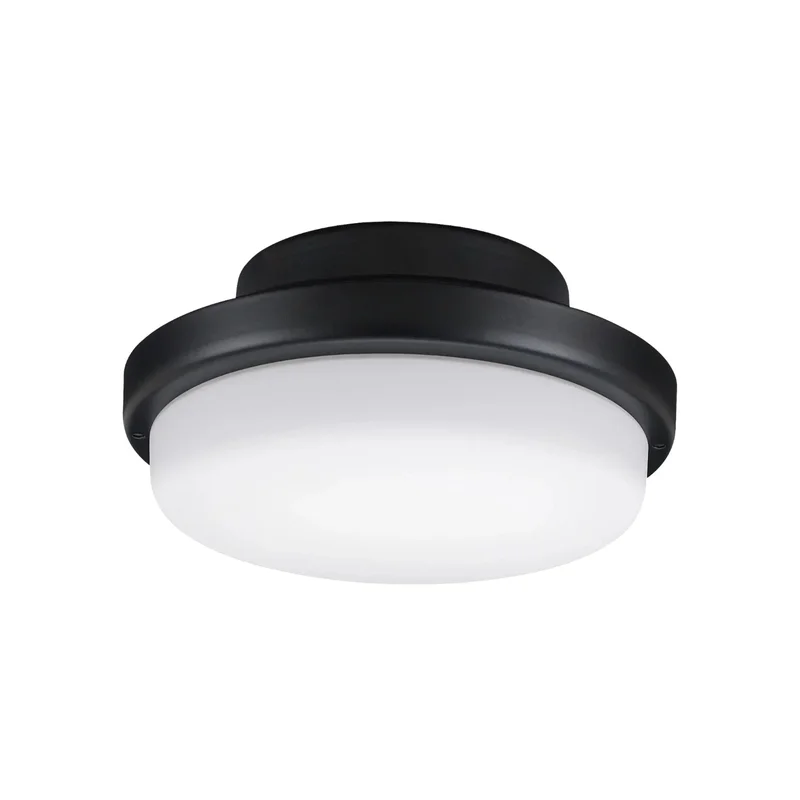 beeslighting32639843