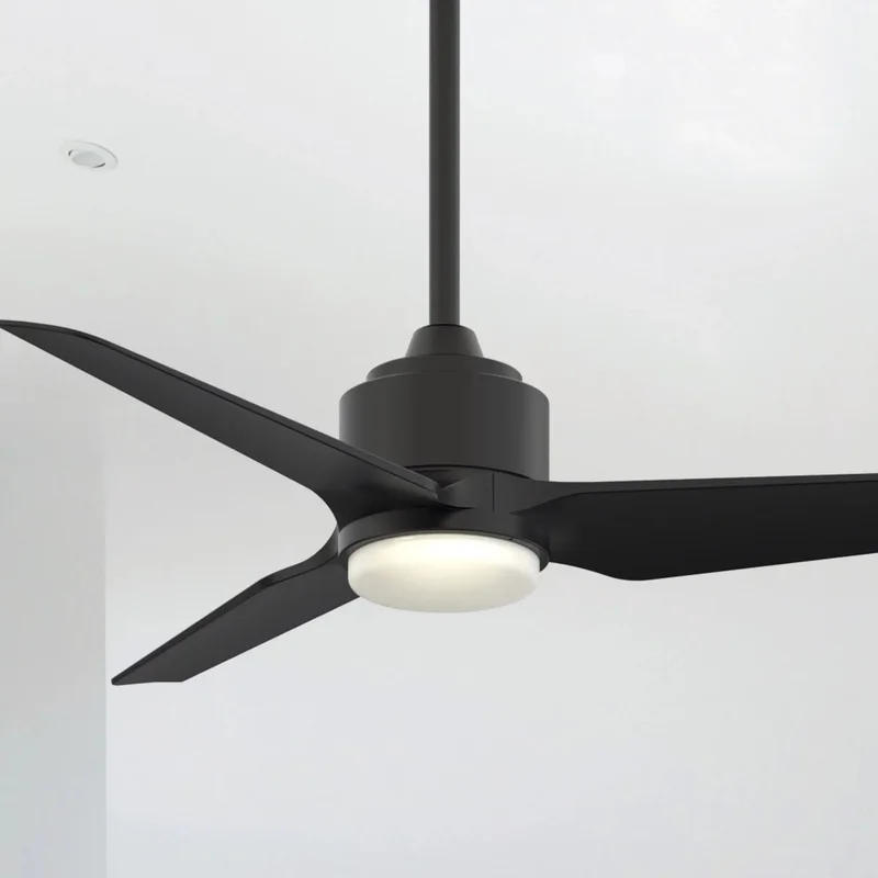 beeslighting32642800