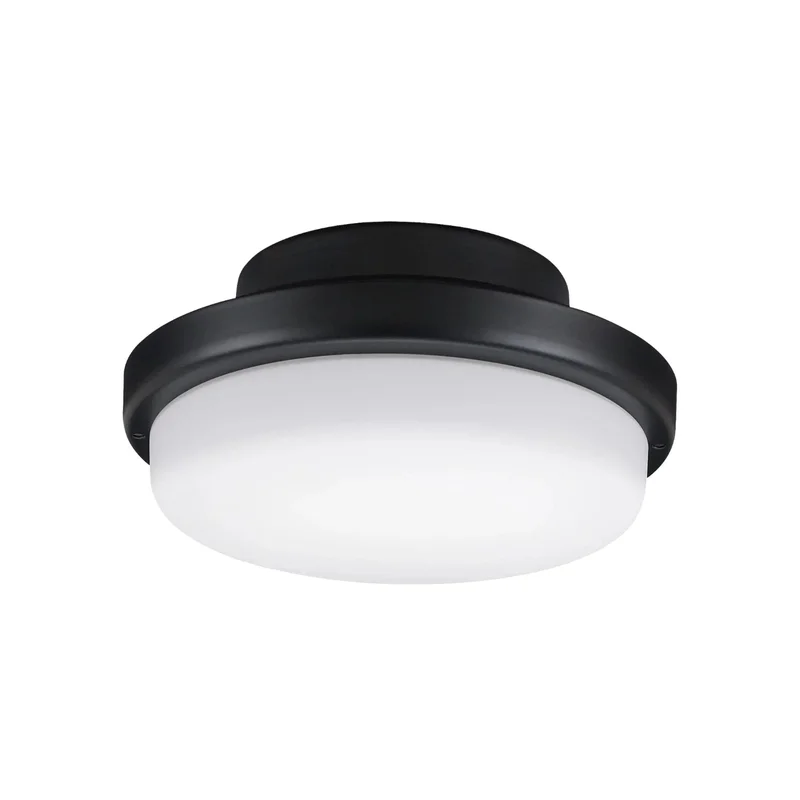 beeslighting32643401