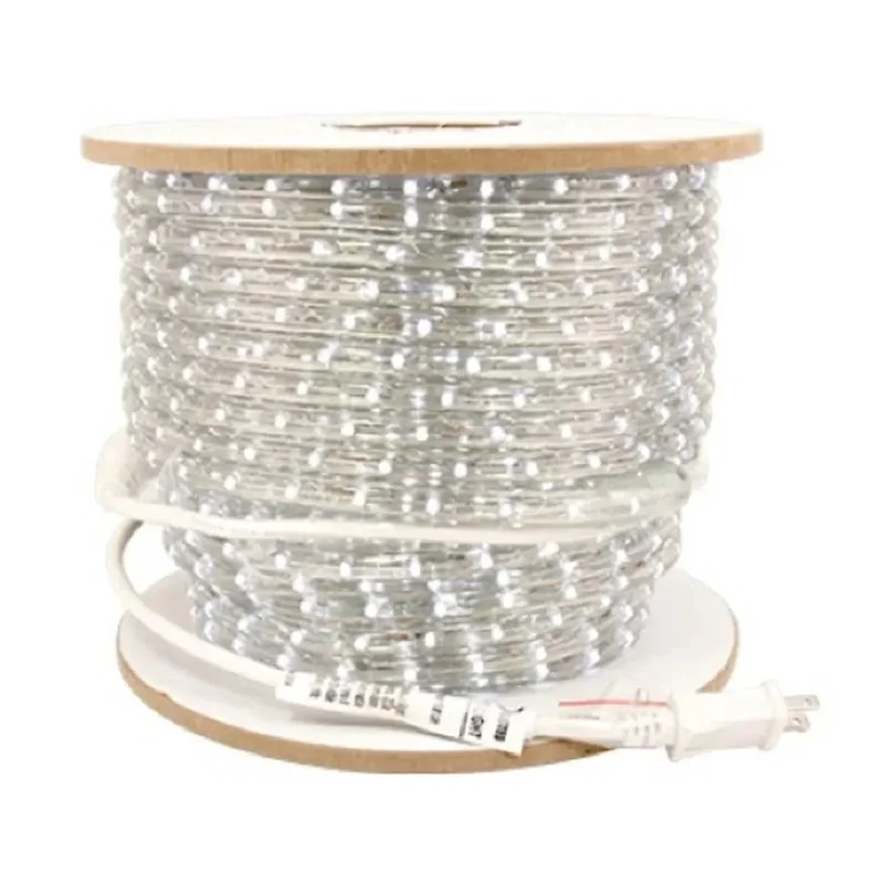 beeslighting32645714