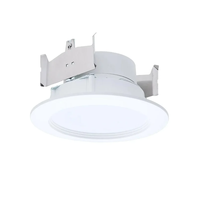 beeslighting32647098