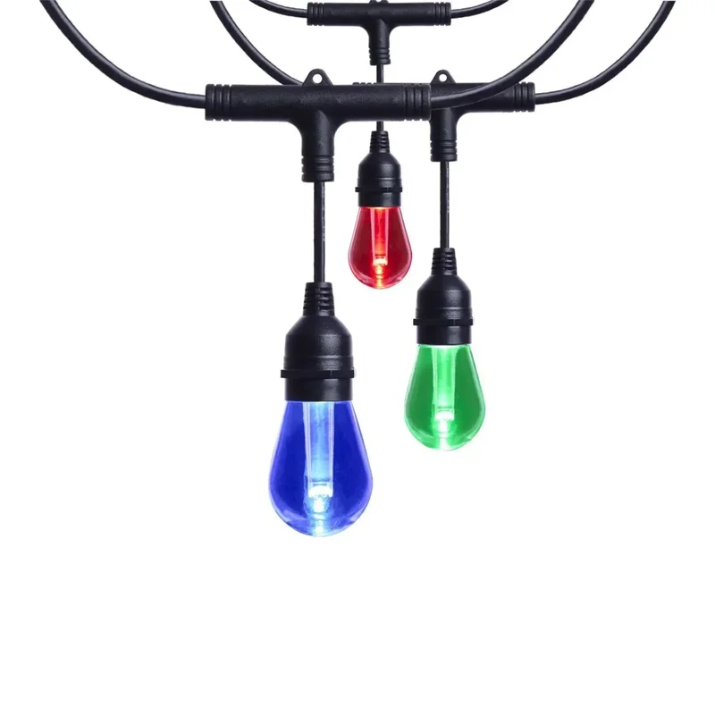 beeslighting32647987